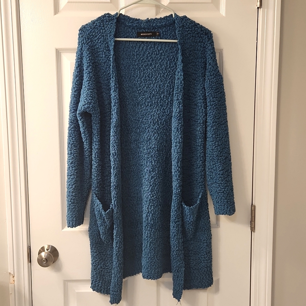 Blue Cardigan